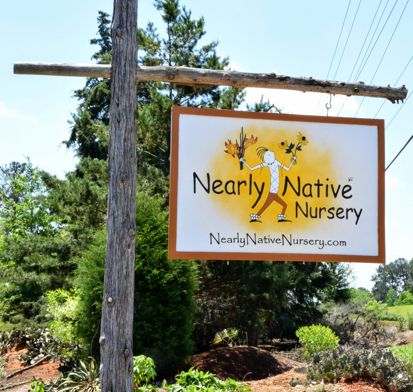 Using Native Plants Supporting Small Native Plant Nurseries