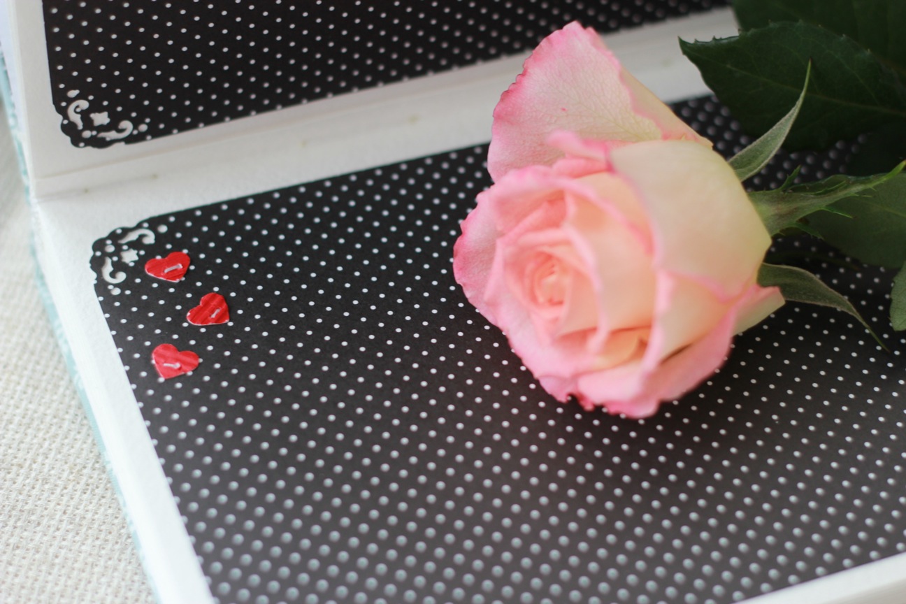 My secrets... Блокноты и альбомы за ИЮЛЬ и АВГУСТ