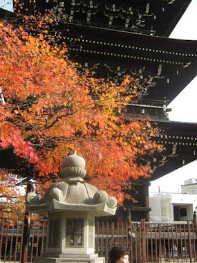 Autumn in Takayama
