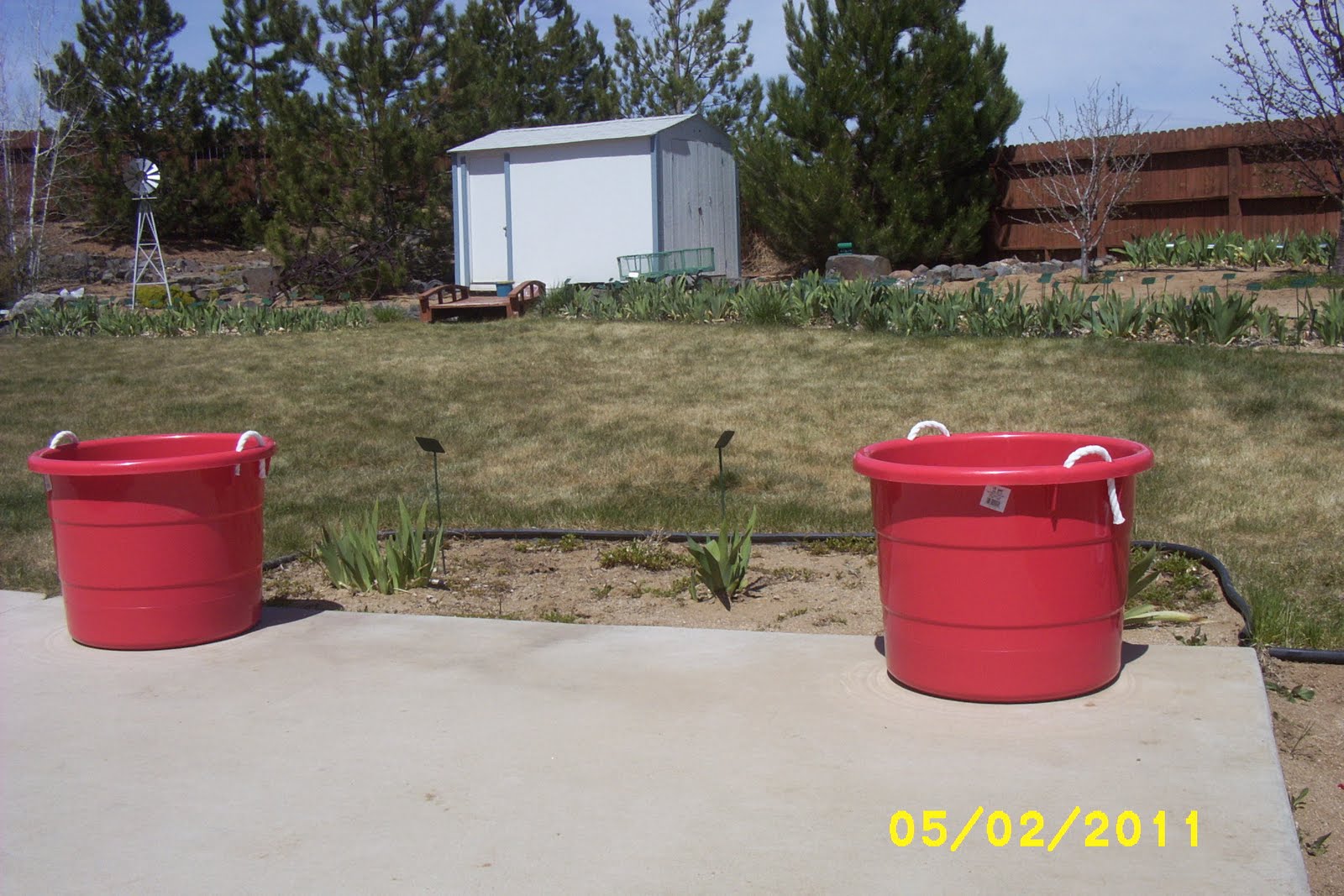 How Does My Garden Grow Planting Tomatoes