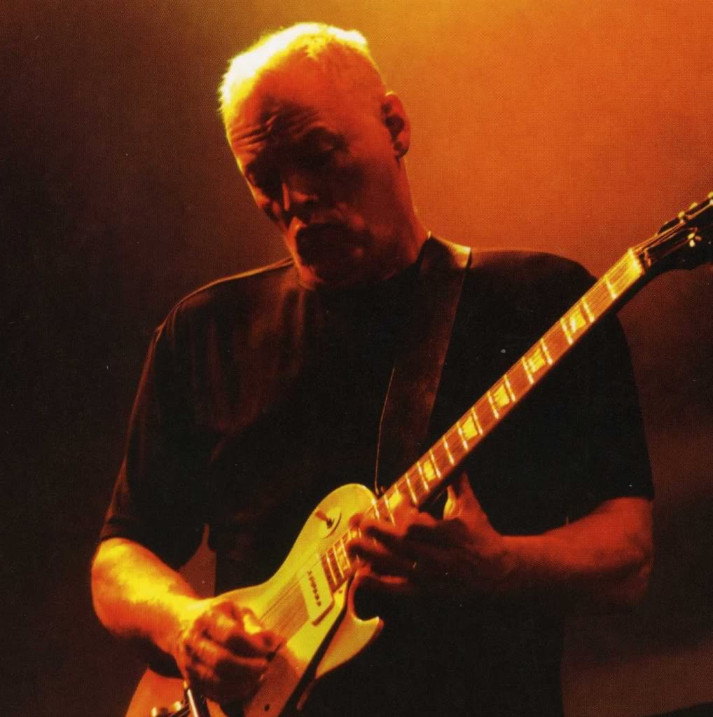 Guitar Snob David Gilmour Gear