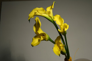 FLORS MAS LLUHI: CALA O LIRIOS AMARILLO TU RAMO DE NOVIA.