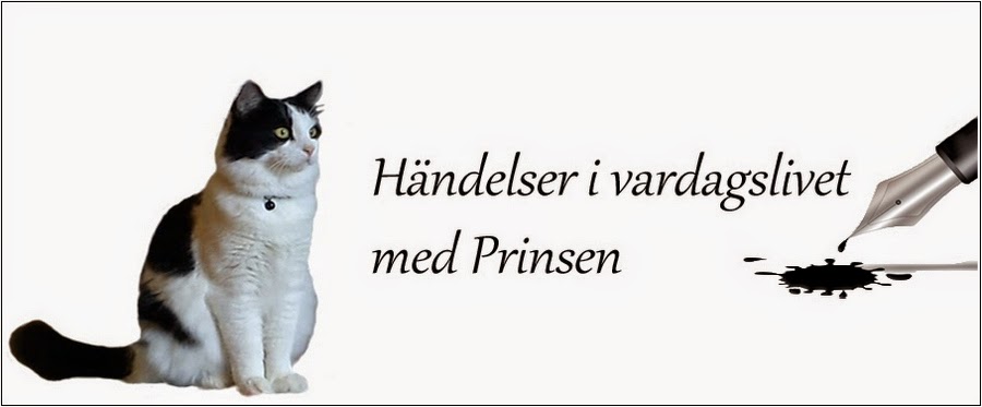 HÄNDELSER I VARDAGSLIVET MED PRINSEN 