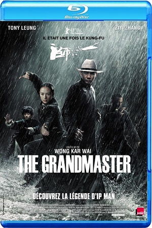 The Grandmaster BRRip BluRay Single Link, Direct Download The Grandmaster BRRip 720p, The Grandmaster BluRay 720p