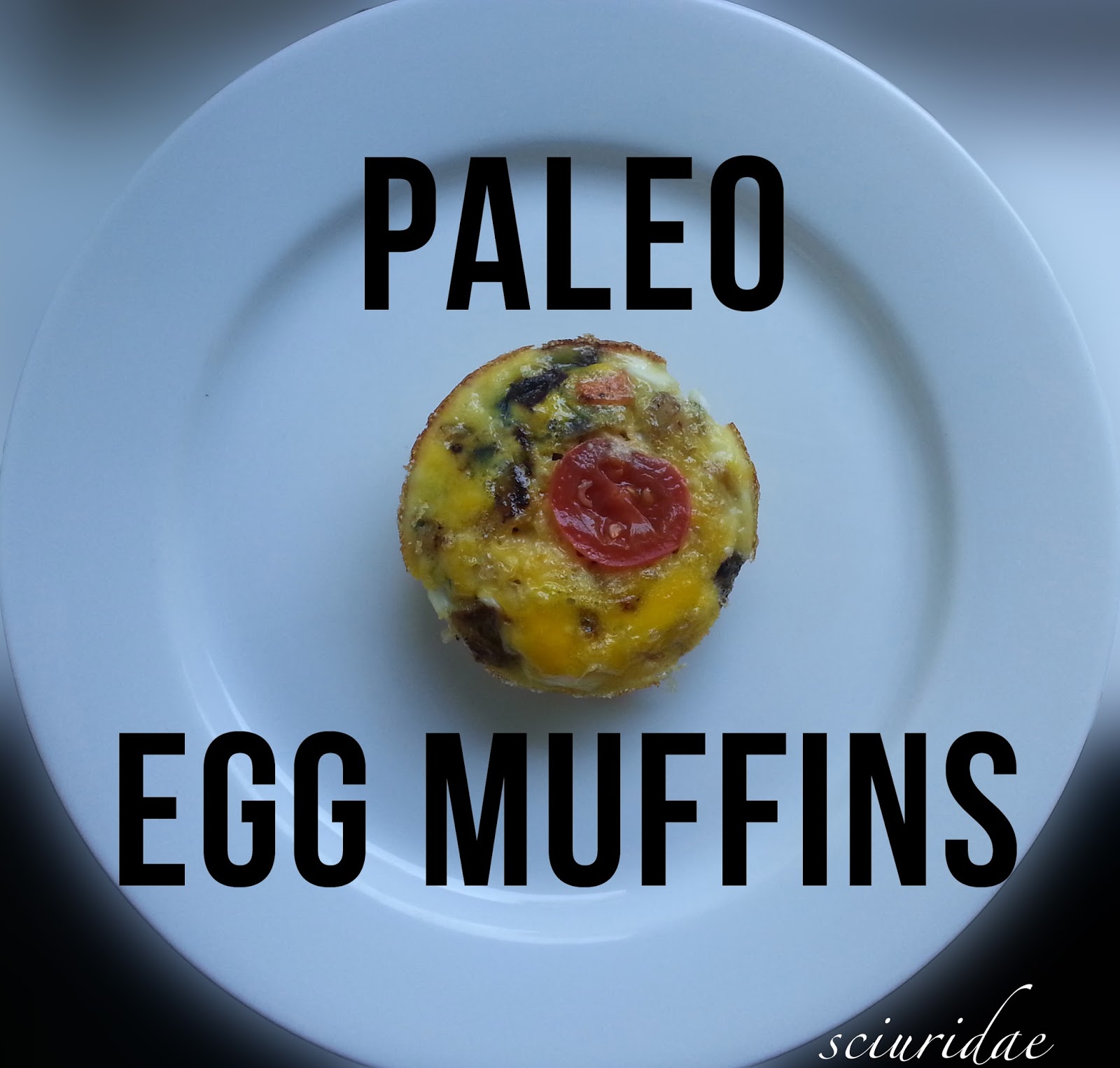 Sciuridae Meat and Veggie Egg Muffins (Primal/Paleo)
