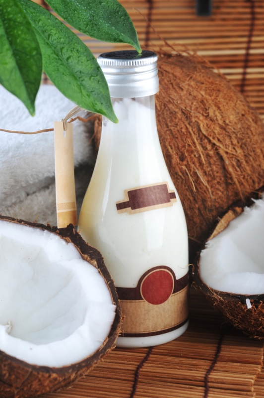 Mixology Homemade Coconut Aloe LeaveIn Conditioner HEALTHY HAIR and BODY