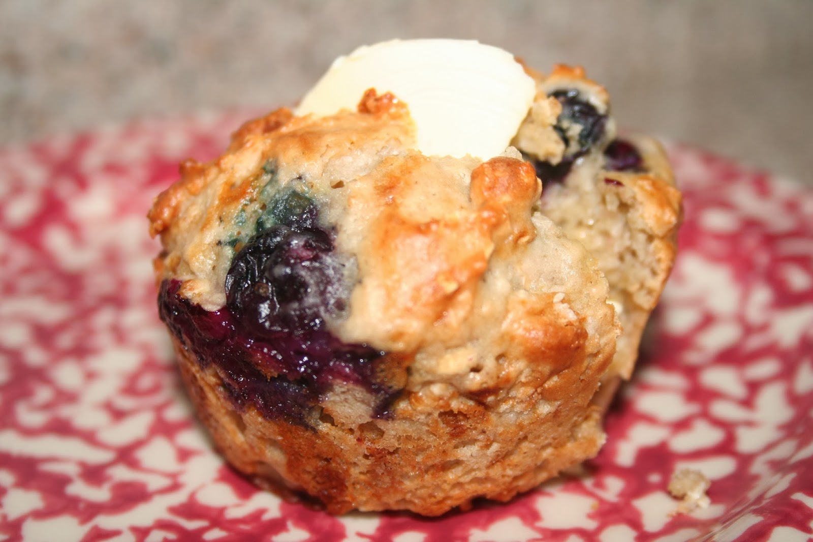 NOVA Frugal Family Healthy Mixed Berry Muffins
