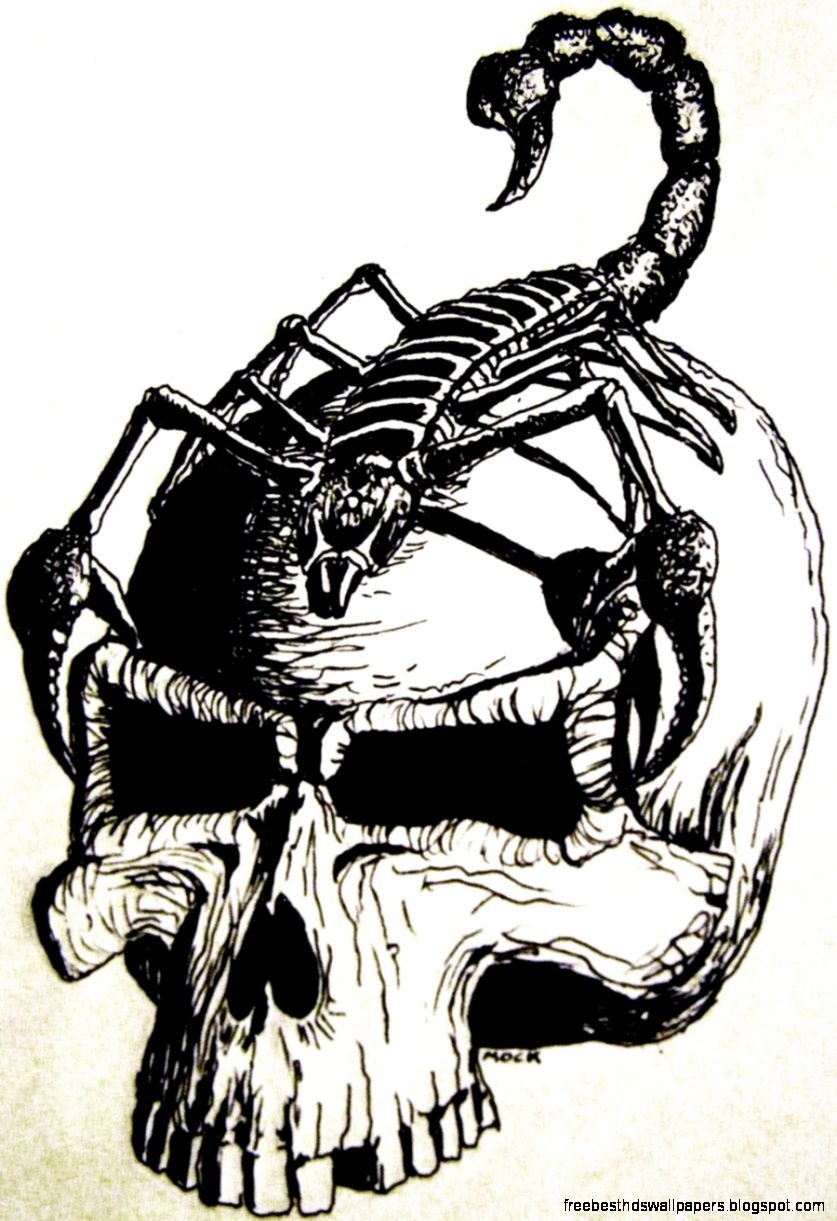 Скорпион на черепе