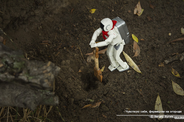 фотография робота, приключения робота. история игрушки