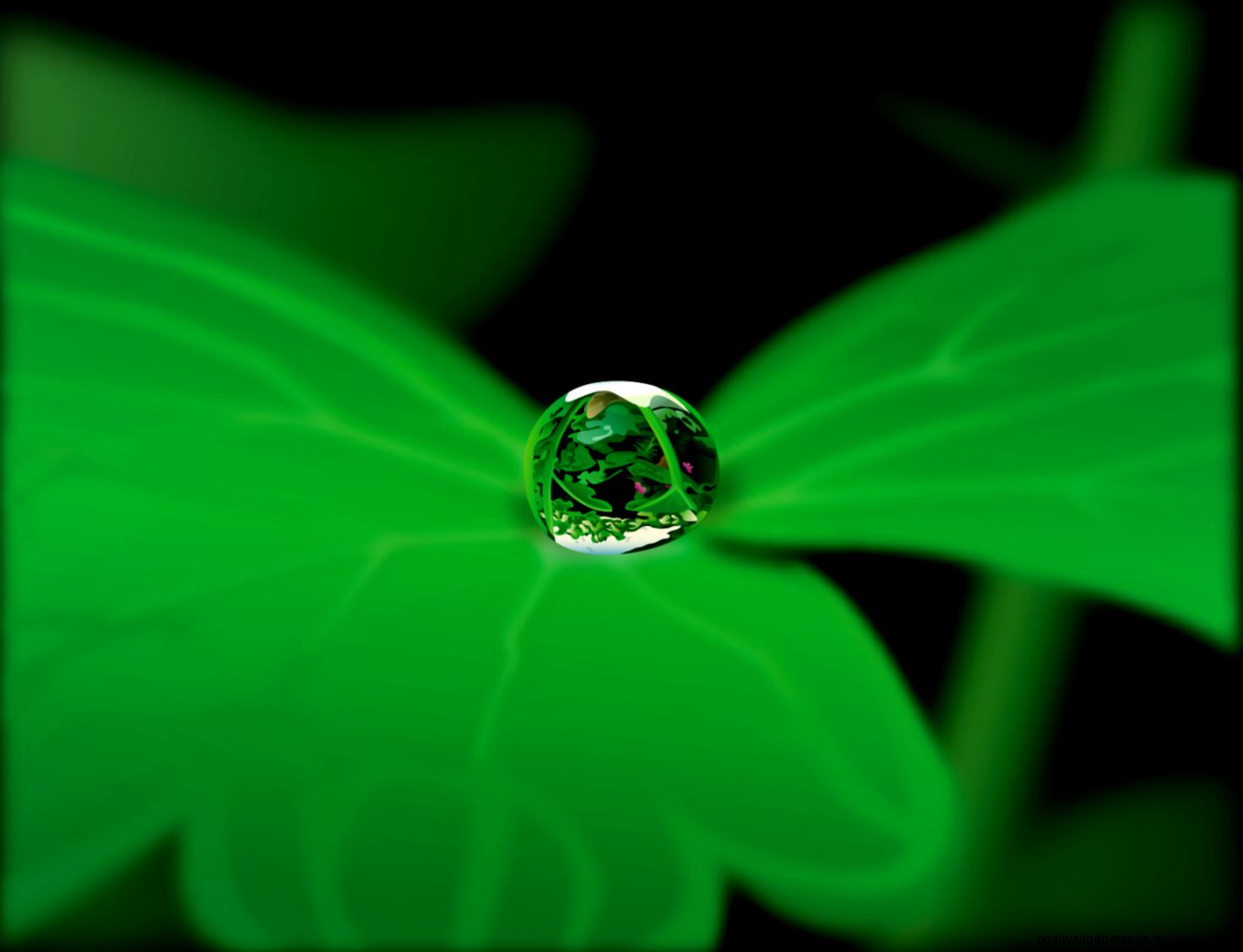 One Drop Water One Drop Water