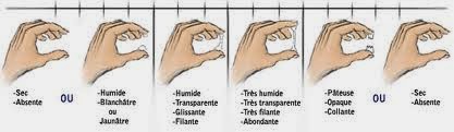 glaire avant ovulation glaire avant ovulation