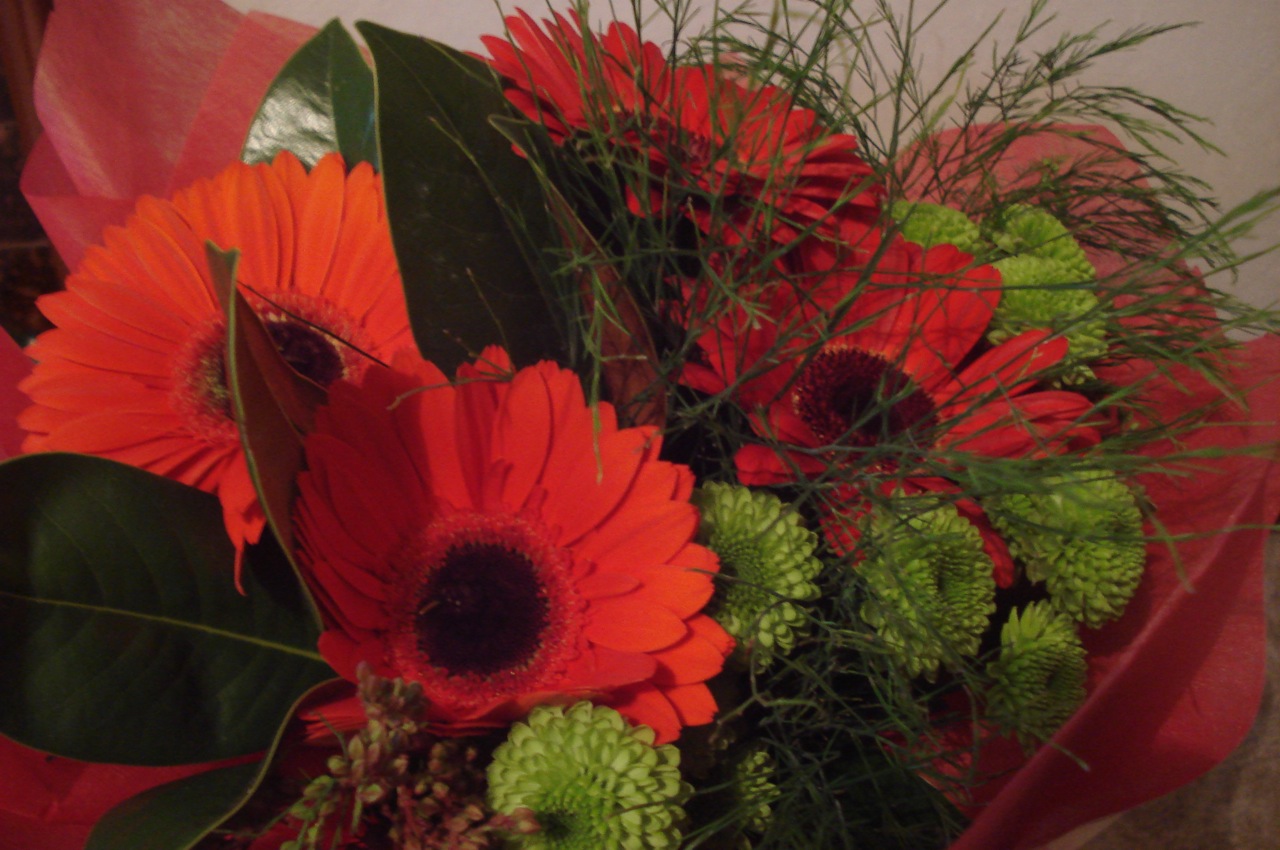 Kiwi Nomad's Wanderings 153 Farewell Flowers