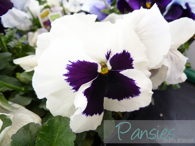 Pansies, DIY Flower Tower, Home Depot #sponsored #digin #heartoutdoors #spring