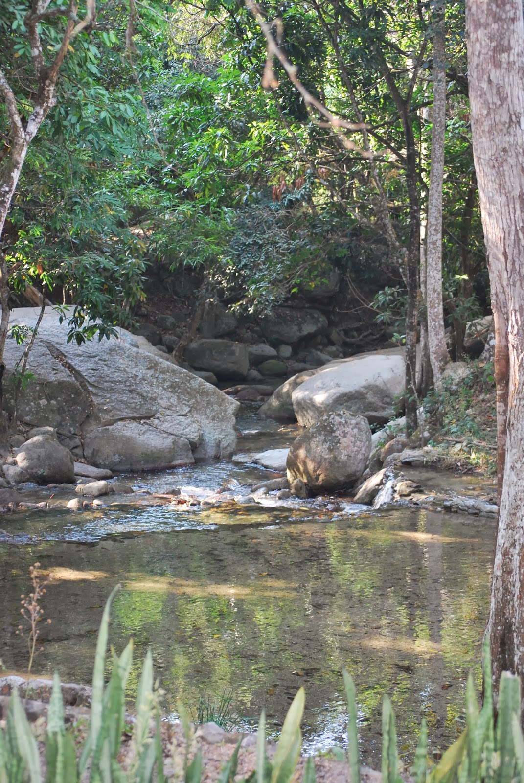 Praxisjahr 2015 16 Etzgen Tag 30