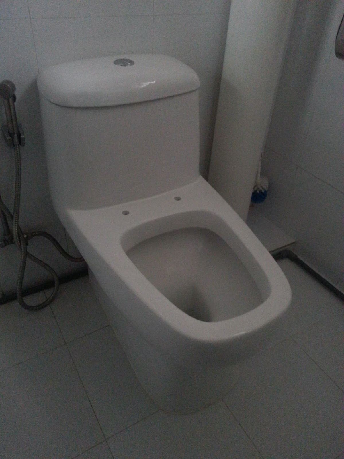 Our HDB Flat Renovation in 2009 Changing Toilet Bowl Seat Cover Baron