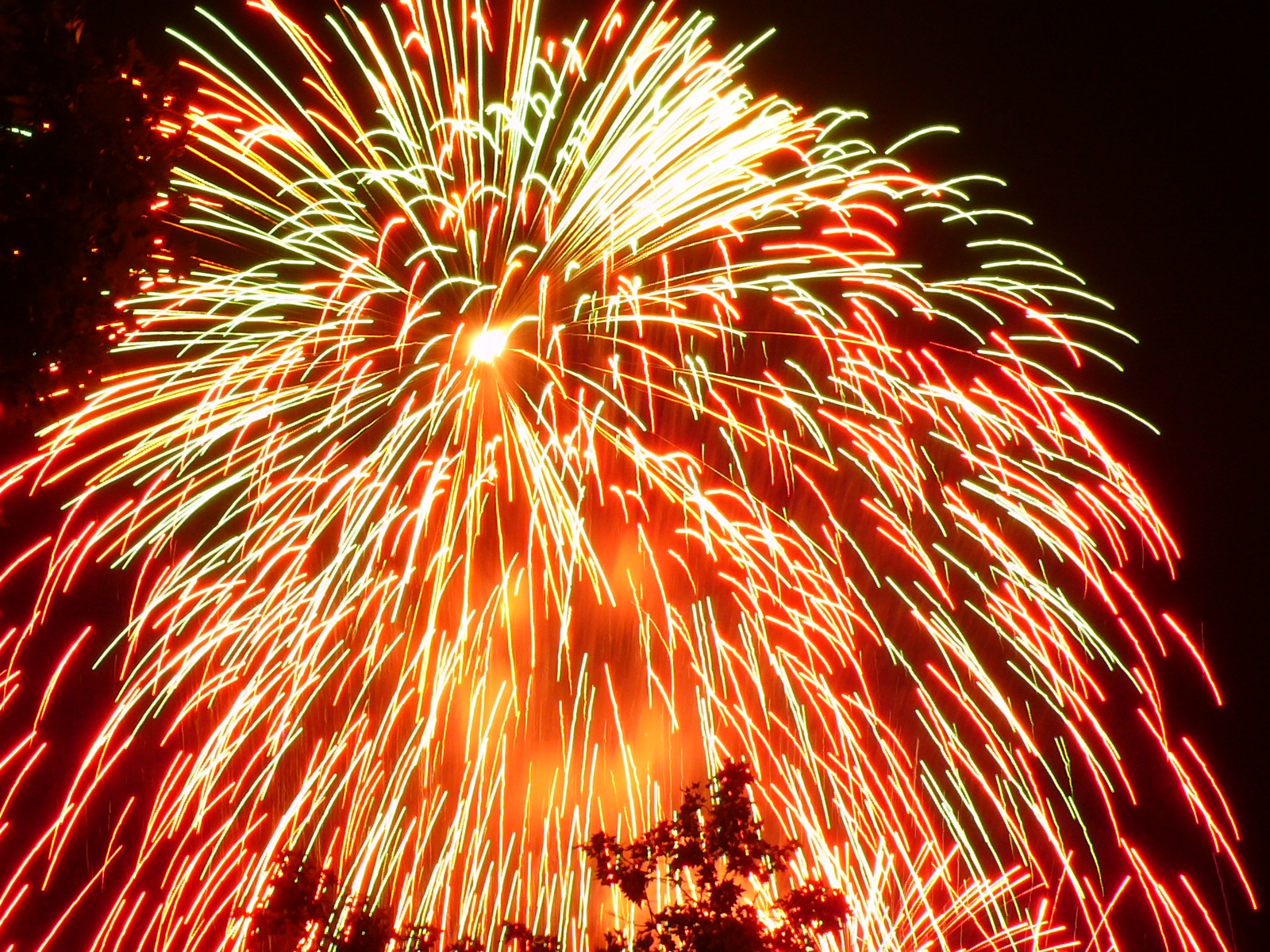 http://3.bp.blogspot.com/-IHtBX_bbFKk/Tb5y8CZgptI/AAAAAAAAAUc/AP3l838gyQ0/s1600/panasonic_lumix_dmc-tz1_modo_fuegos_artificiales.jpg