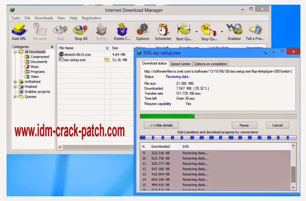 Free download idm 6.14 build 3 full patch and keygen