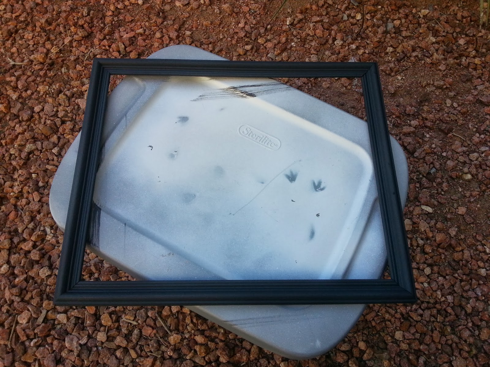 With Our Powers Combined Antique Mirror Mirror Spray and Crackle Paint