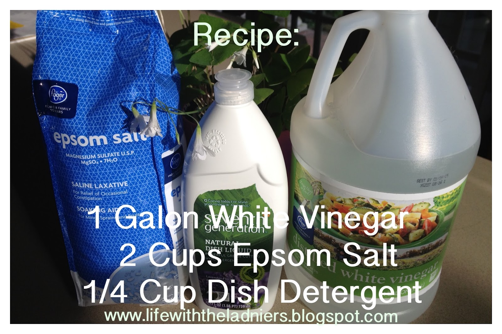 Life With the Ladniers Chemical Free Weed Killer