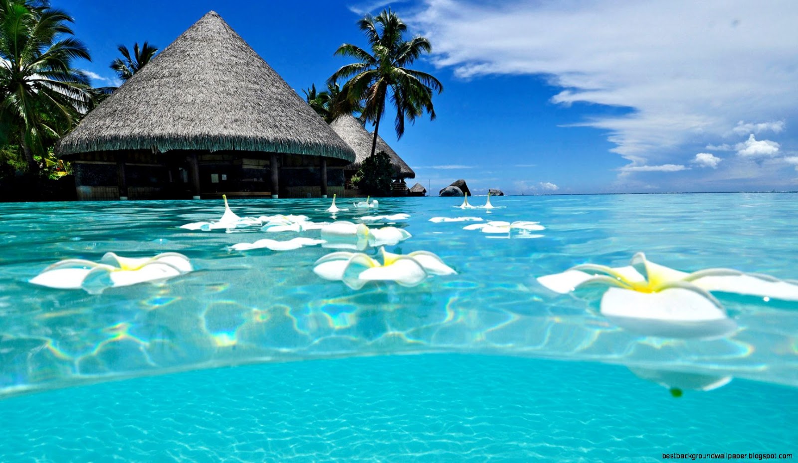 Beautiful Paradise Beach Beautiful Paradise Beach