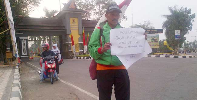 kasus cpns luthfi kasus cpns luthfi