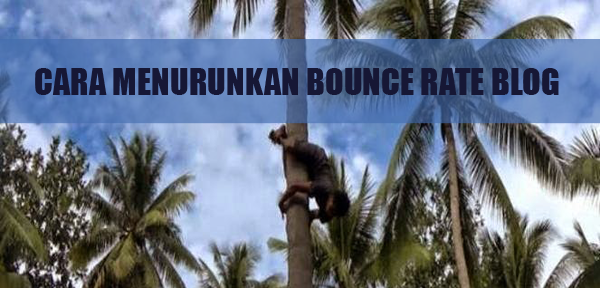 5 Cara Tercepat Menurunkan Bounce Rate Blog