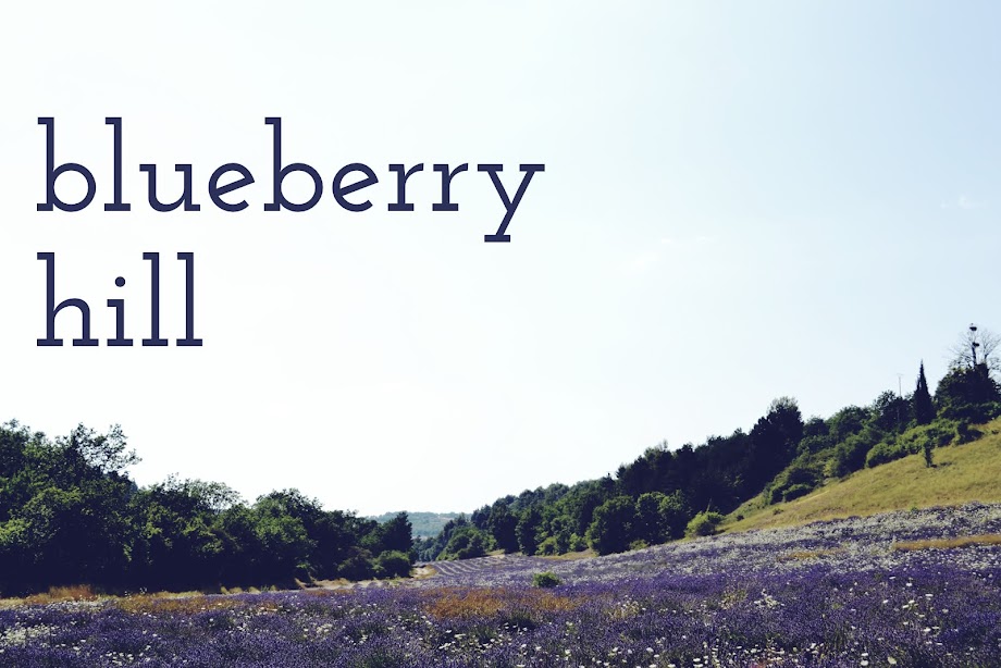 blueberry hill