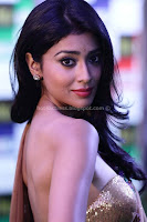 Shriya, saran, , sexy, cleavage, show, in, saree, sexy, photo