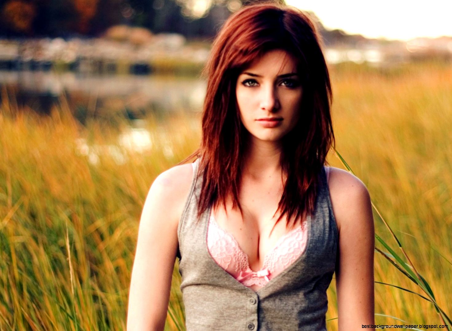 The Witcher Wallpapers The Witcher Wallpapers