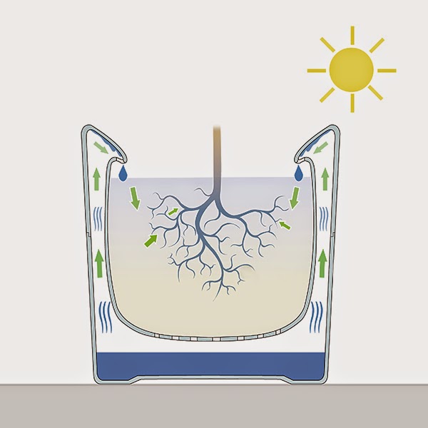 一滴の水もムダにしない植木鉢