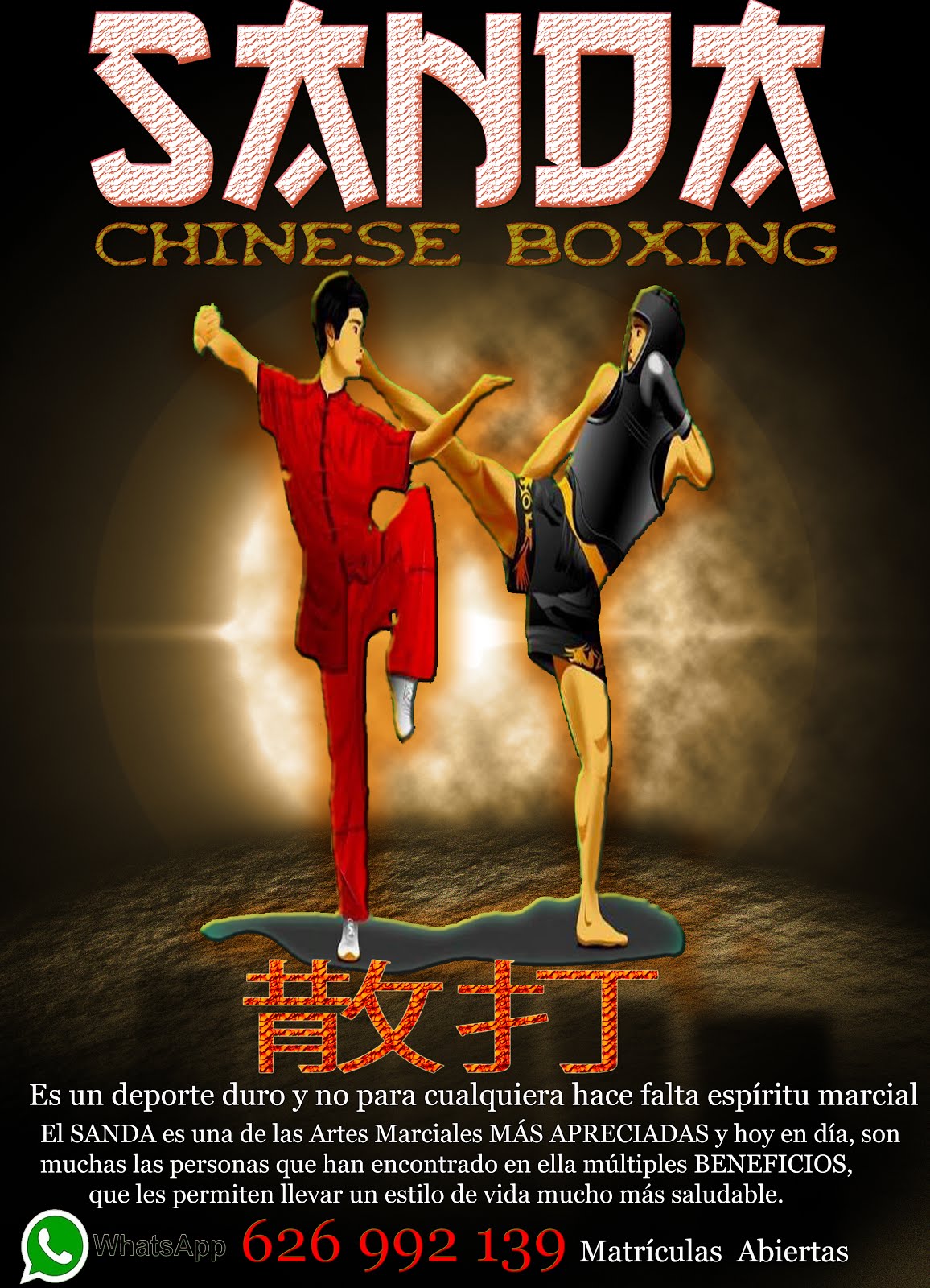 Sanda (散打)  San shou (散手) Boxe Chines - Boxeo Chino. GrandMaster Senna.