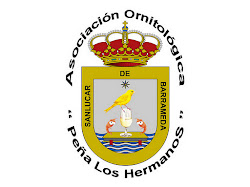 Peña "Los Hermanos"