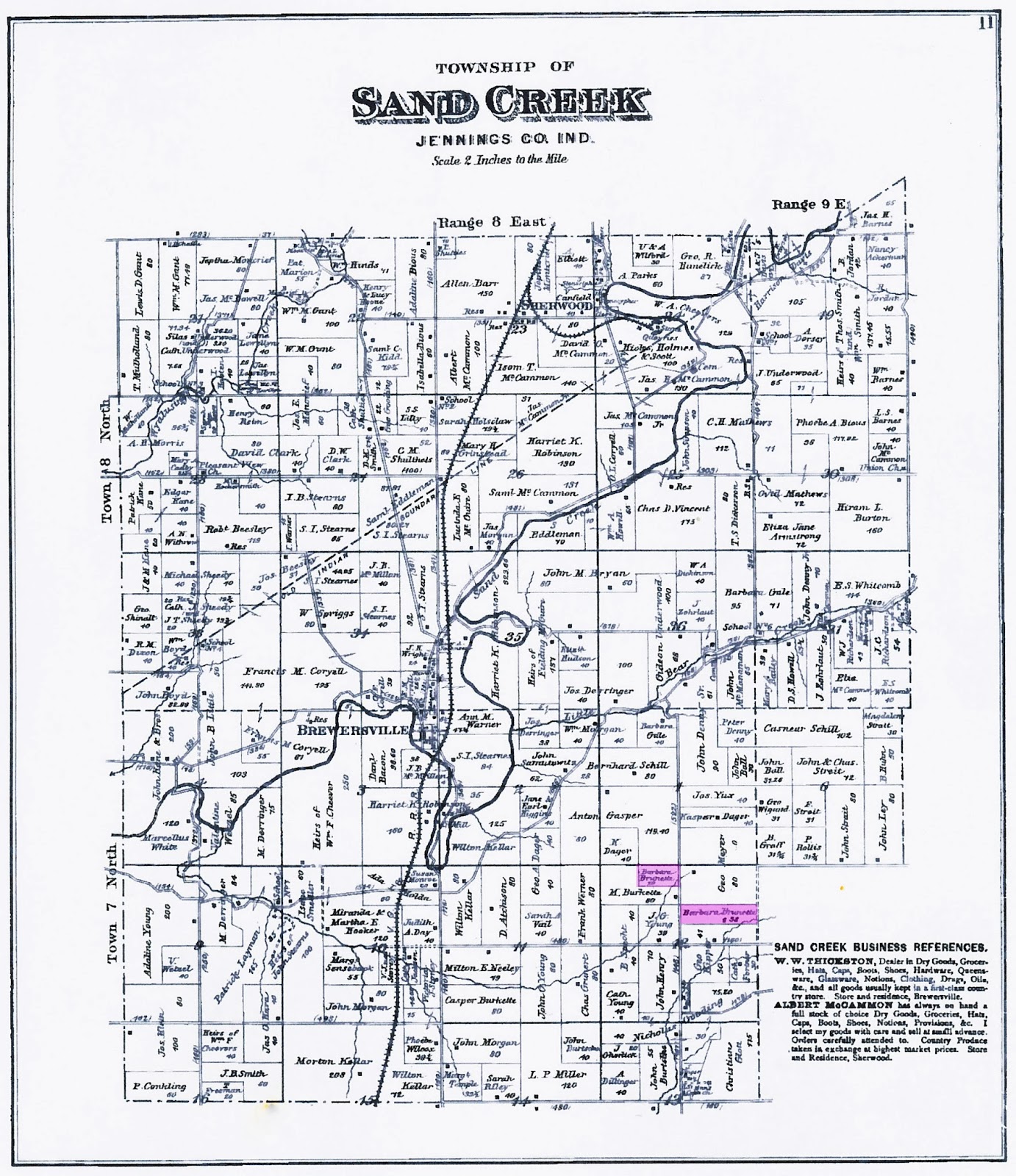Climbing the Branches of My Family Tree October 2013