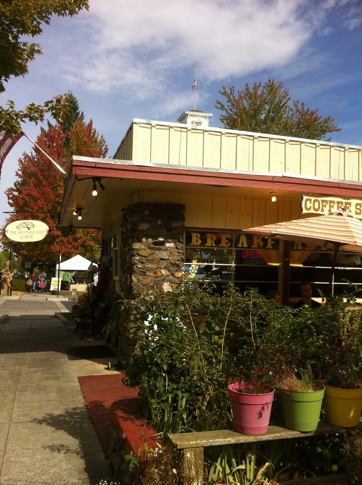 HOLLYWOOD SUE CAMERON December 2012