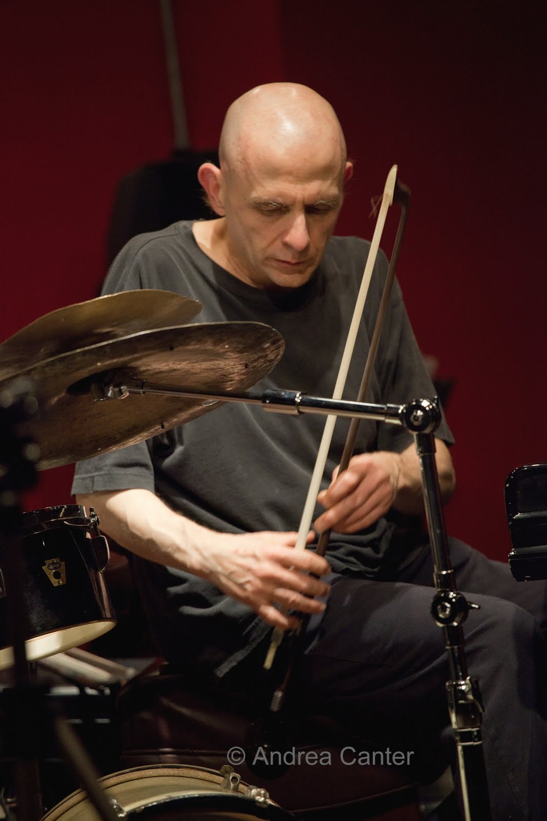 The Milo Fine Free Jazz Ensemble Lucid Anarchists The Milo Fine Free Jazz Ensemble Lucid Anarchists