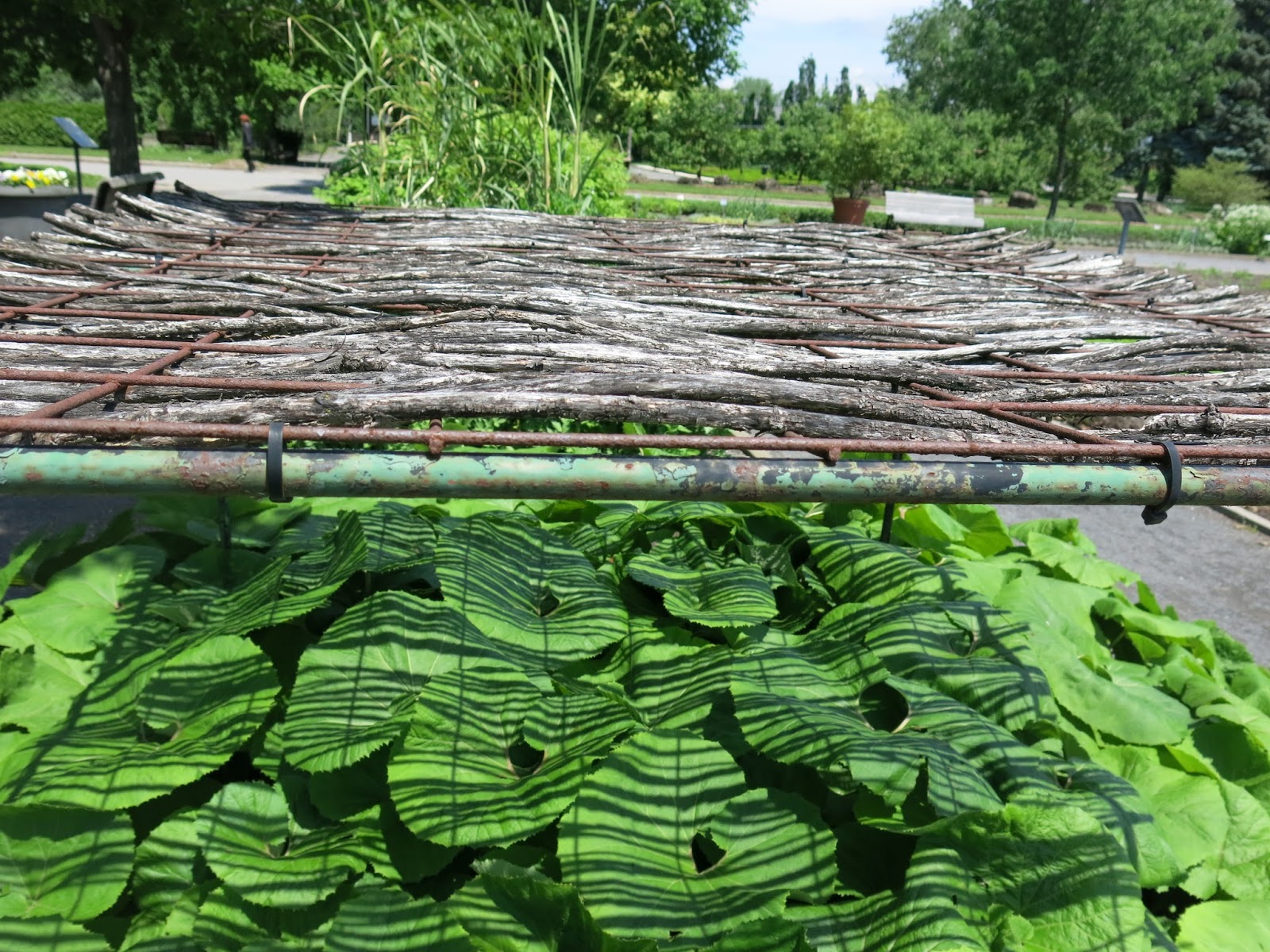 Yard Fanatic The Very Definition of Garden