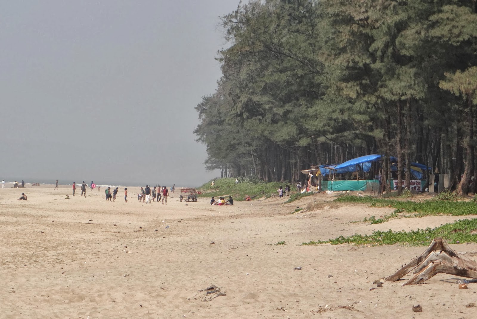 Guhagar Beach Maharashtra Beaches Of India