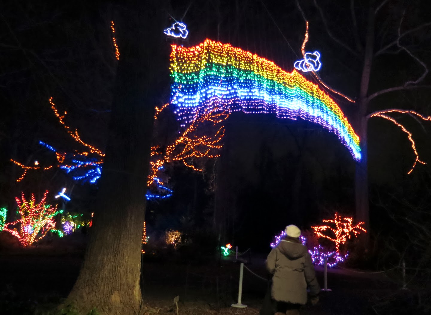 Lucent Moments Brookside Gardens Christmas Lights 2013