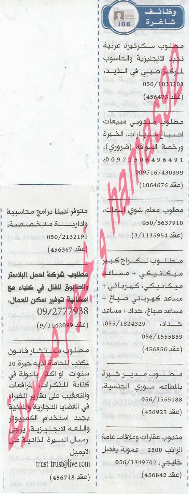 وظائف شاغرة فى جريدة الخليج الامارات الاثنين 04-11-2013 %D8%A7%D9%84%D8%AE%D9%84%D9%8A%D8%AC+1