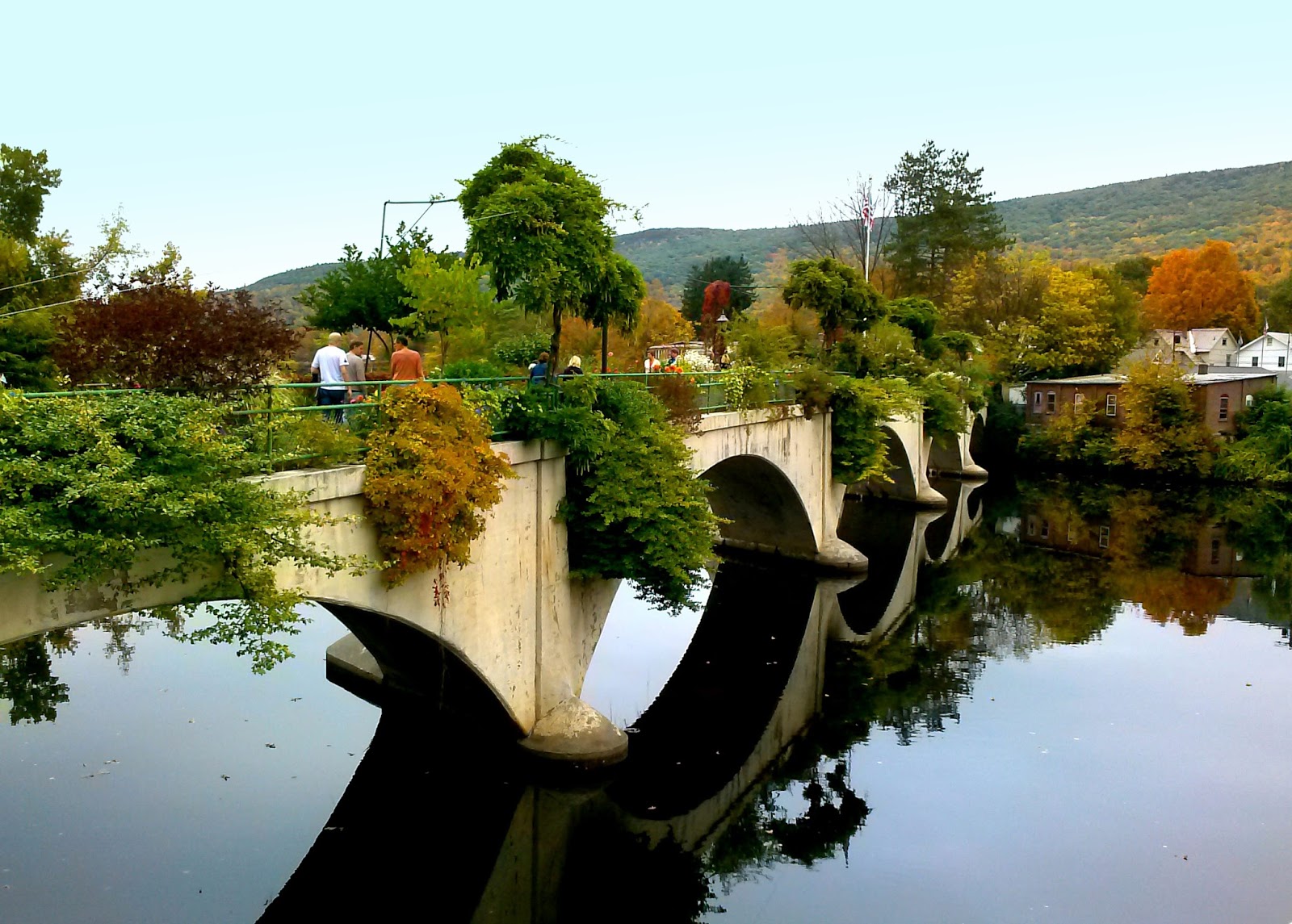 A Bridge of Flowers and Trolleys