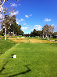 17th Tee @ Riviera