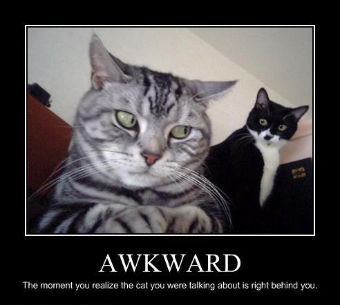 Awkward%2B-%2BThe%2BMoment%2BYou%2BRealize%2BThe%2BCat%2BYou%2BWere%2BTalking%2BAbout%2BIs%2BRight%2BBehind%2BYou.jpg
