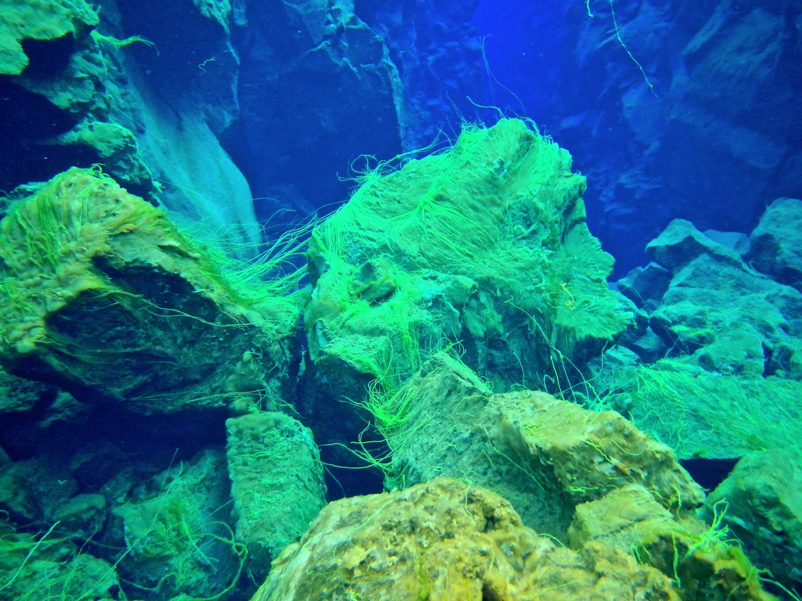 Snorkeling the Silfra Fissure at Pingvellir National Park in Iceland with Arctic Adventures