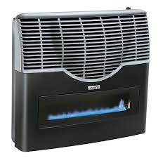 calefactores 3