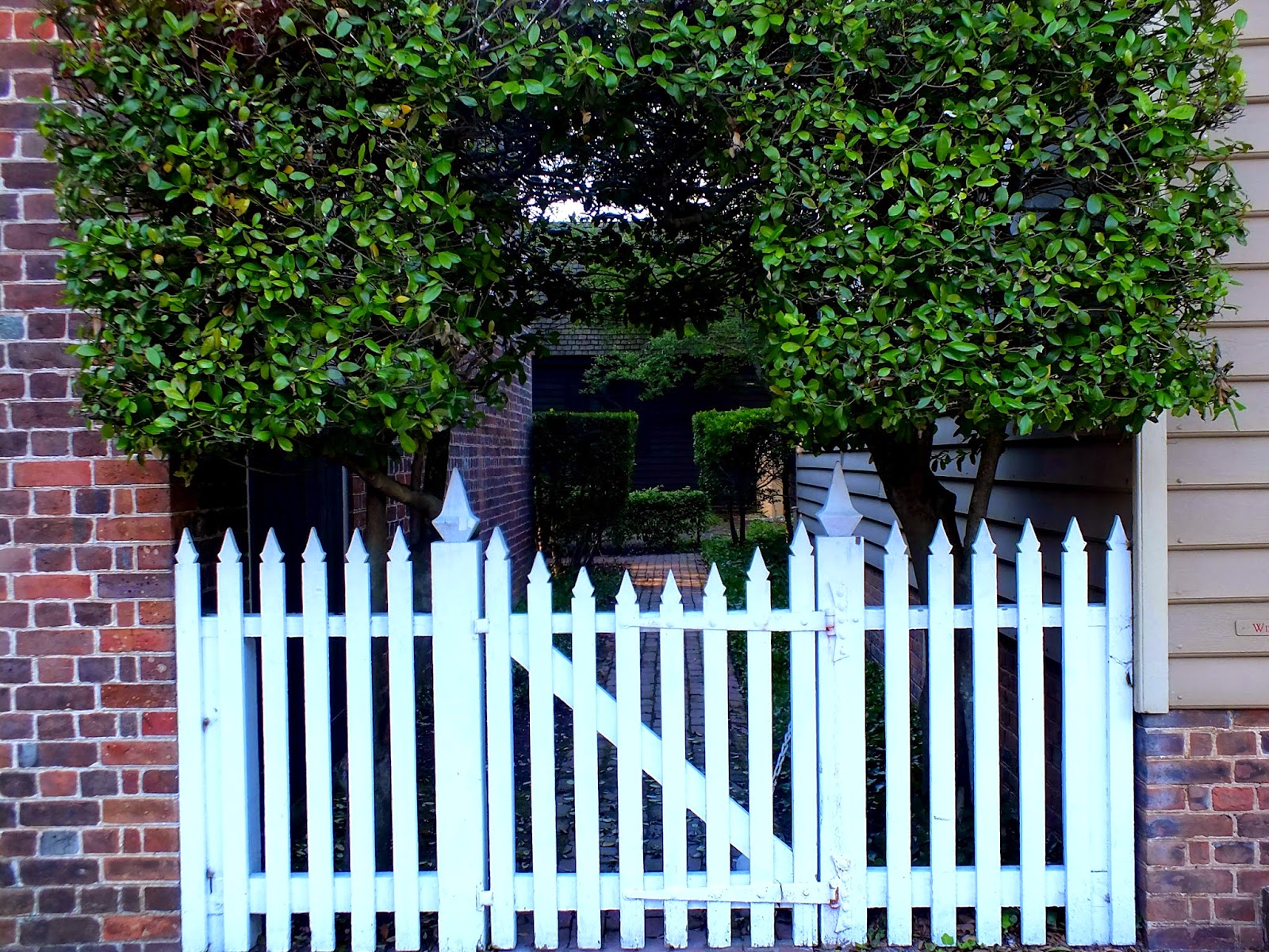 Around Roanoke, VA (A Daily Photo Blog) Rubbish Tuesday Some Really