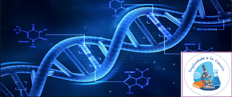 Engánchate a la Ciencia