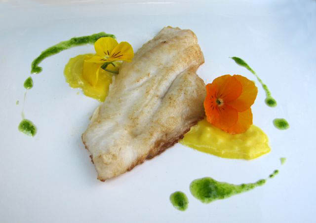 Diane Carnevale Sole With A Lemon Beurre Blanc Sauce