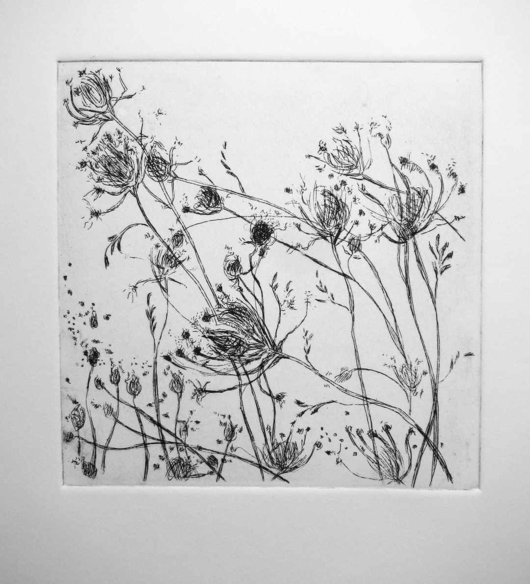 Introduction to Printmaking Dry Point