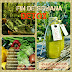 RETIRO FIN DE SEMANA DETOX