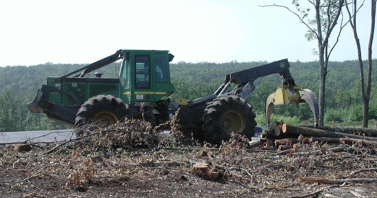 Central Pennsylvania Forestry Forest Certification in the US